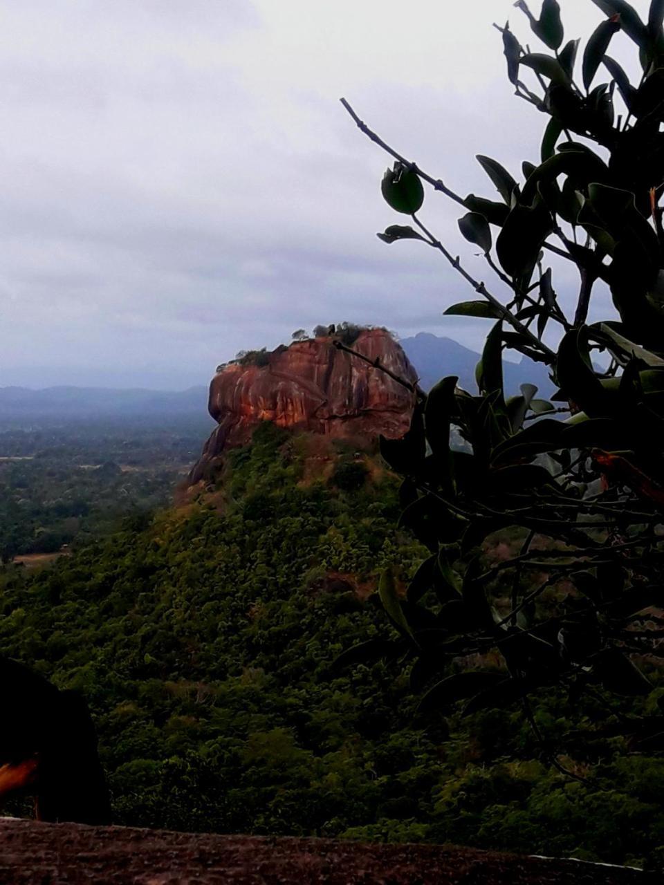 Senura Home Stay Sigiriya Eksteriør billede